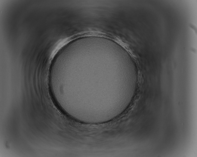 X0000091940007200710031126