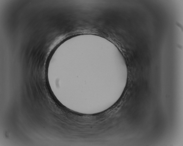 X0000091940008200710031126