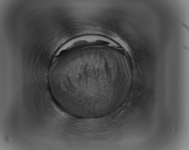 X0000091940009200710031126