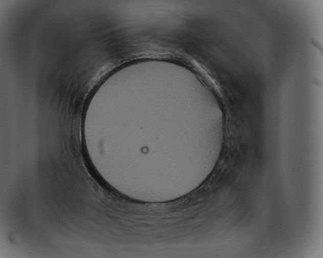 X0000091940011200710031126