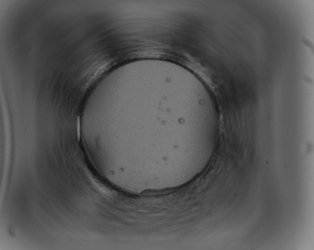 X0000091940013200710031126