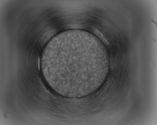 X0000091940014200710031126