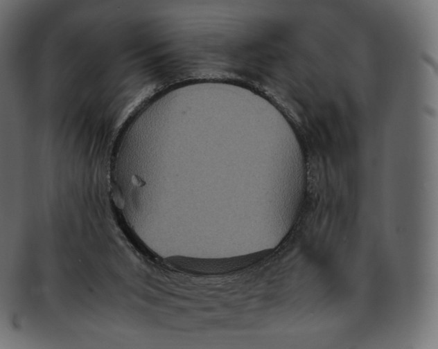 X0000091940015200710031126