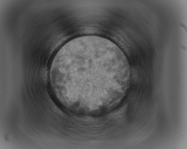 X0000091940016200710031126