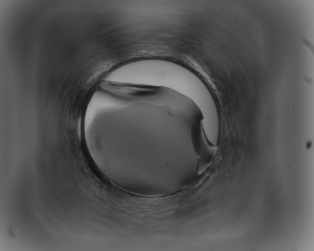 X0000091940019200710031126