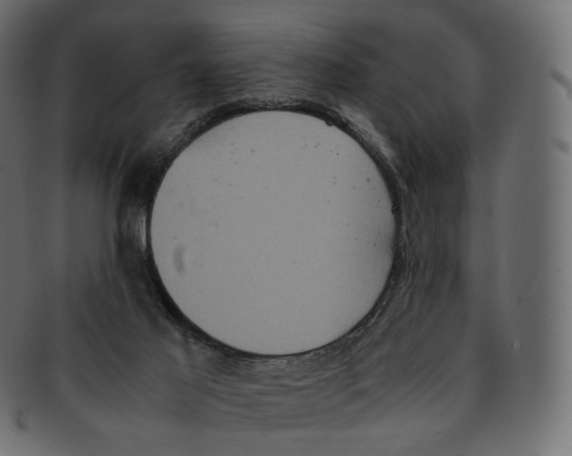 X0000091940021200710031126