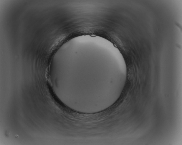 X0000091940023200710031126