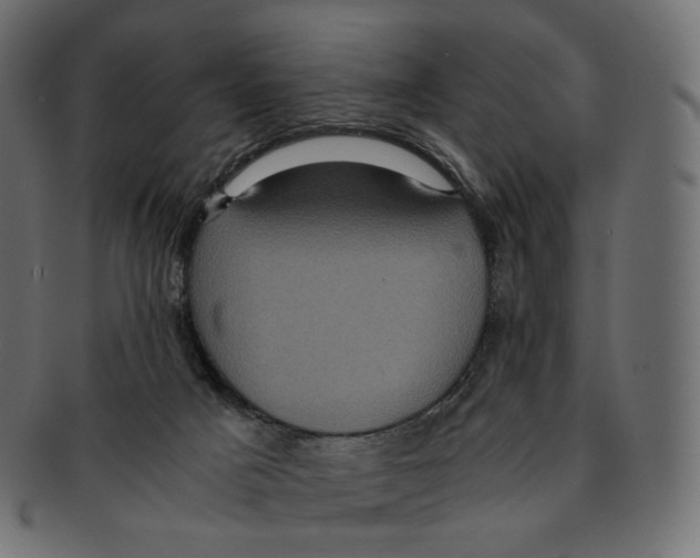 X0000091940025200710031126