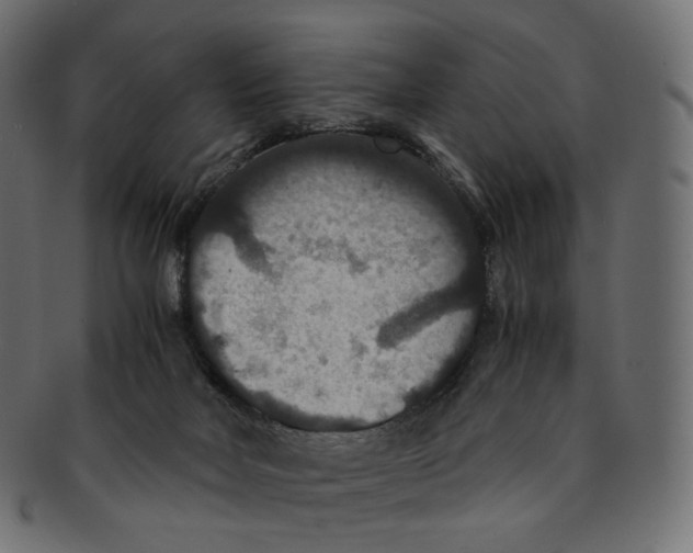 X0000091940026200710031126