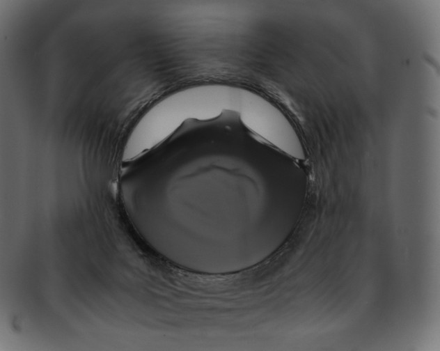 X0000091940027200710031126