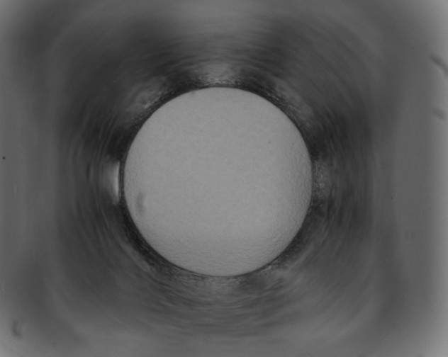 X0000091940028200710031126