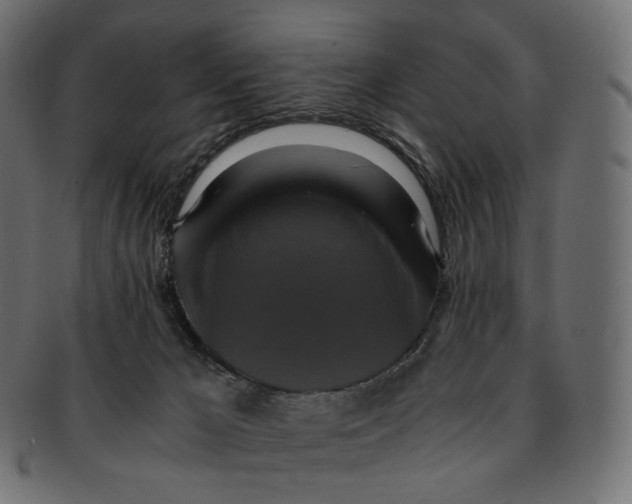 X0000091940029200710031126