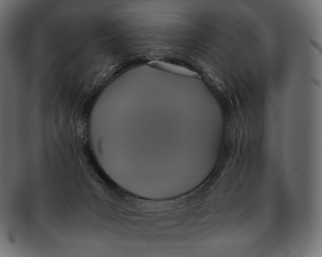 X0000091940031200710031126