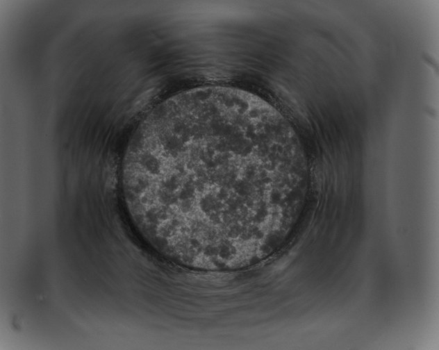 X0000091940032200710031126