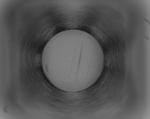 X0000091940034200710031126