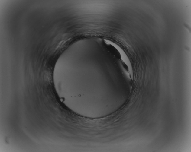 X0000091940035200710031126