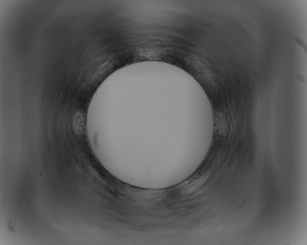 X0000091940036200710031126