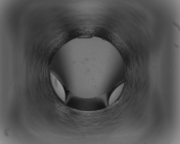 X0000091940037200710031126