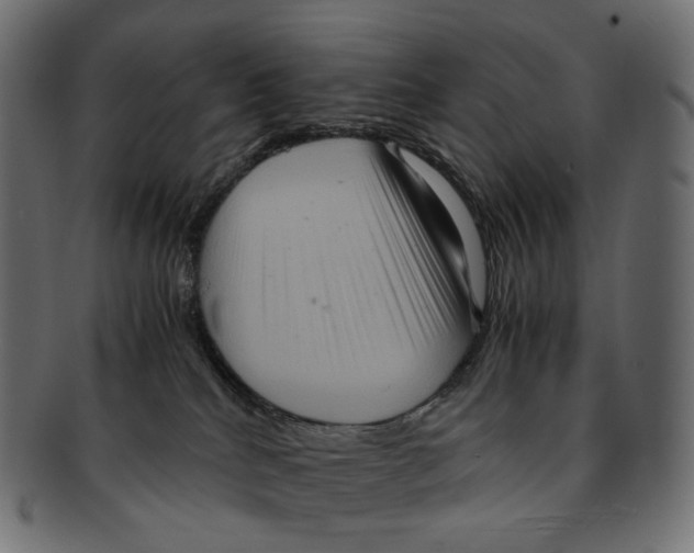 X0000091940040200710031126