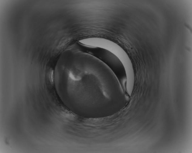 X0000091940041200710031126