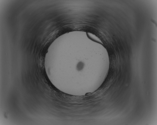 X0000091940044200710031125