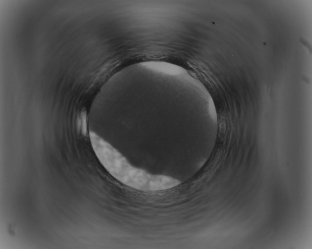 X0000091940046200710031125