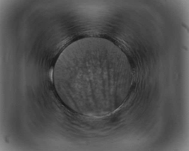 X0000091940047200710031125