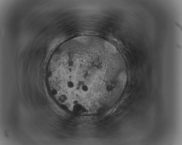 X0000091940049200710031125