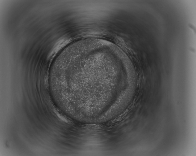 X0000091940050200710031125