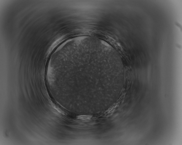 X0000091940051200710031125