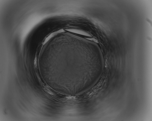 X0000091940052200710031125