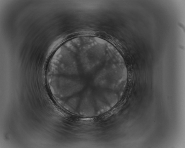 X0000091940053200710031125