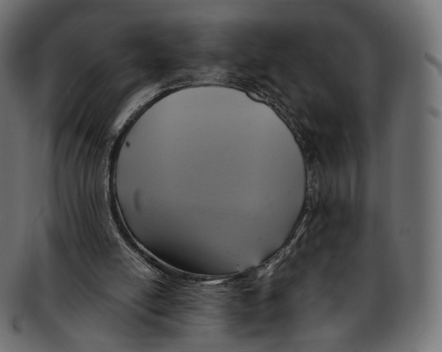 X0000091940054200710031125