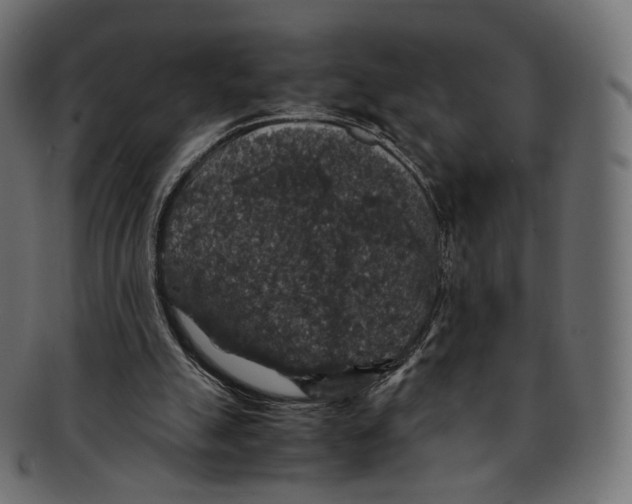 X0000091940055200710031125