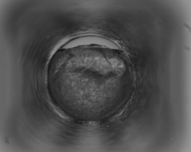 X0000091940056200710031125