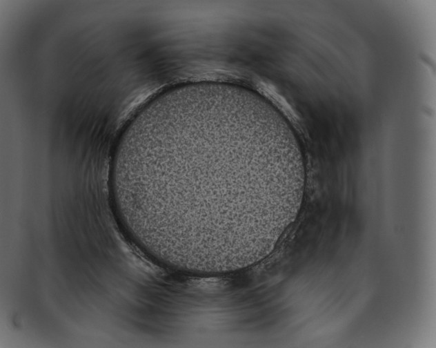 X0000091940058200710031125