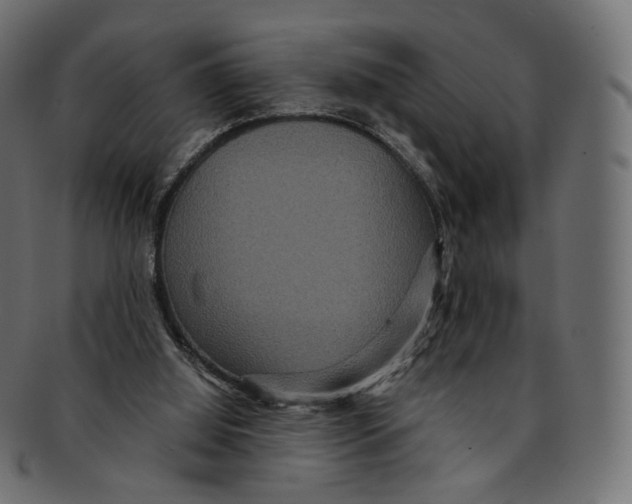 X0000091940060200710031125