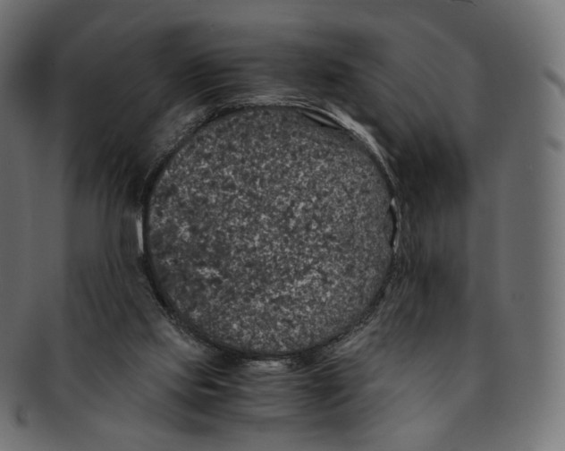 X0000091940061200710031125