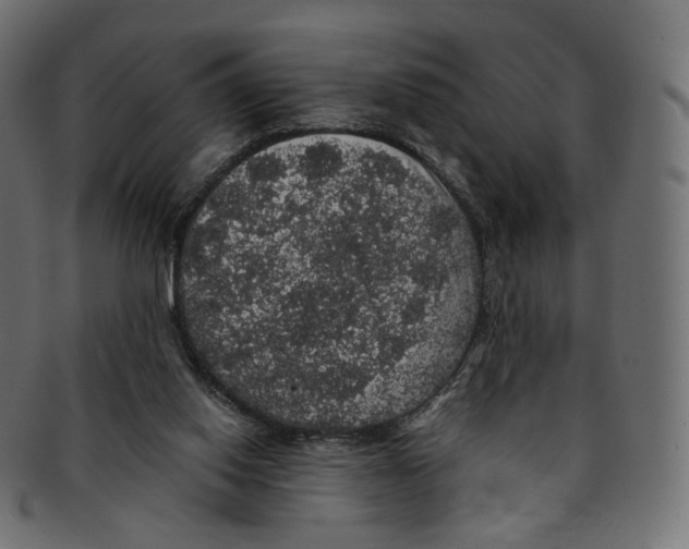 X0000091940062200710031125