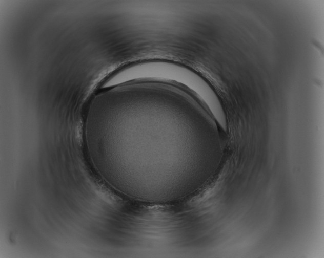 X0000091940064200710031125