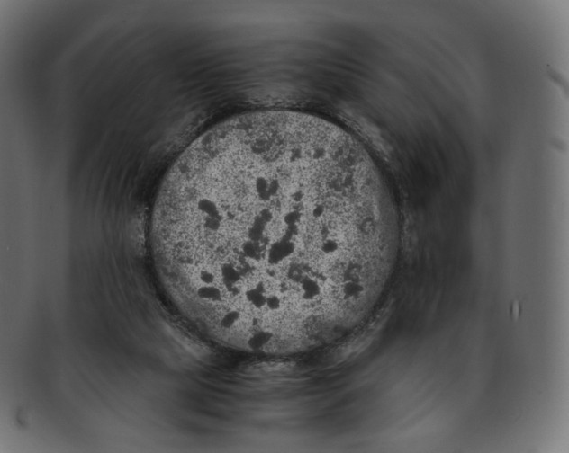 X0000091940065200710031125