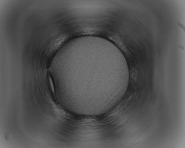 X0000091940066200710031125