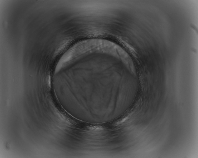 X0000091940067200710031125