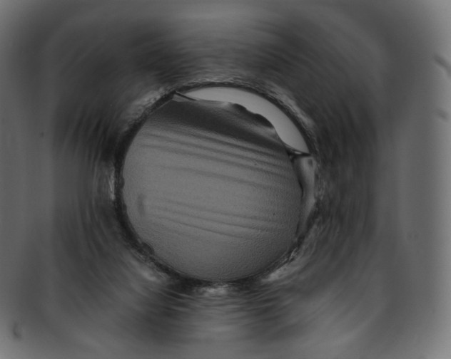 X0000091940068200710031125