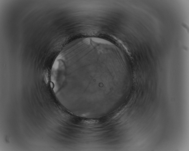 X0000091940069200710031125