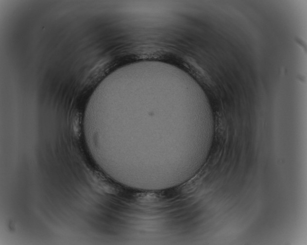 X0000091940074200710031125