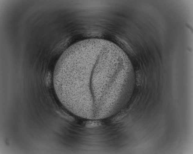 X0000091940077200710031125