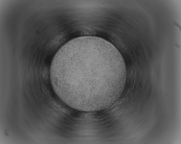 X0000091940078200710031125