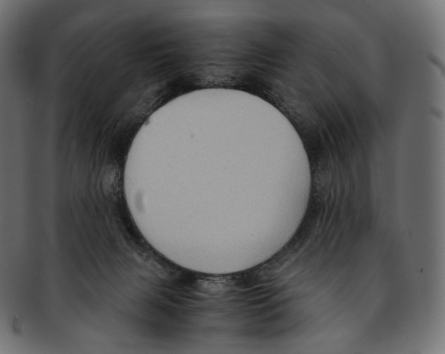 X0000091940079200710031125