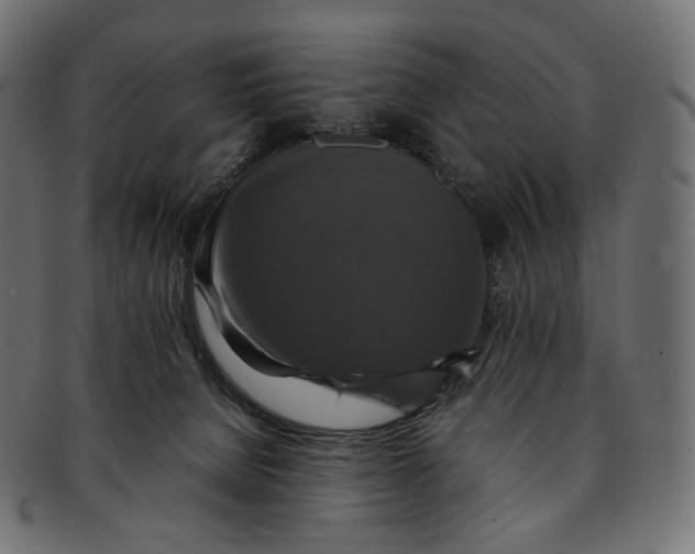 X0000091940080200710031125